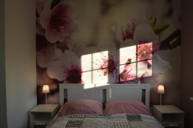 Ferienhaus in Stakendorf - Rauschenbach, Jan: Doppelhaush&auml;lfte "Fr&uuml;hling" - Bild 8