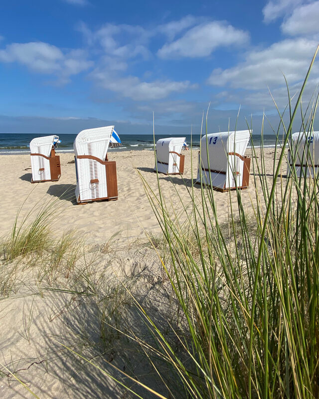 Ferienwohnung in &Uuml;ckeritz - Seeb&auml;r - Bild 18