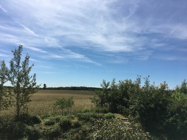 Ferienwohnung in Rieseby - Schleigl&uuml;ck - Bild 2