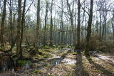 Ferienwohnung in Prerow - FeWo Weststrand - Heuser Prerow - Bild 15