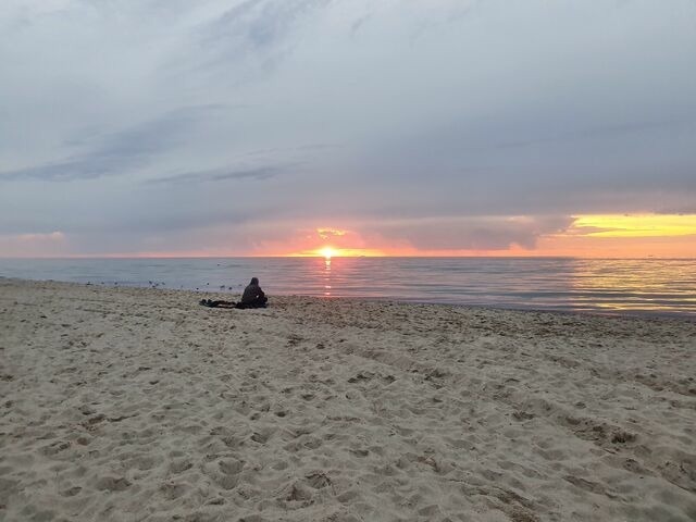 Ferienwohnung in Ribnitz-Damgarten - Auszeit im 'Seepferdchen' am SchilfMeerhof - Bild 23