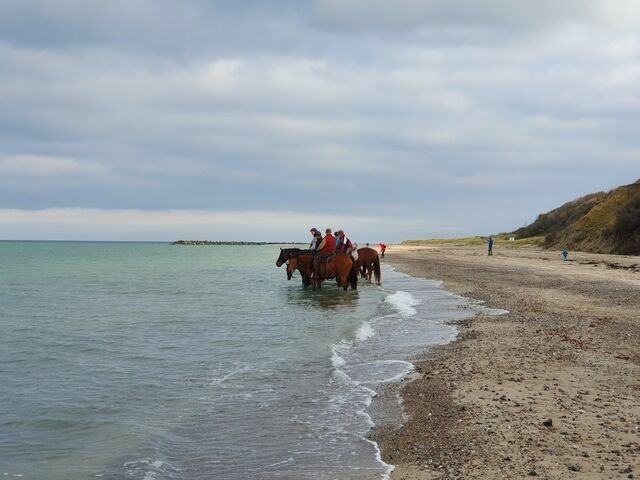 Ferienwohnung in Ribnitz-Damgarten - Auszeit im 'Heuboden' am SchilfMeerhof - Bild 24