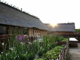 Ferienhaus in Damp - Nurdachhaus in Damp an der Ostsee - Bild 24