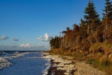 Ferienwohnung in Graal-M&uuml;ritz - Stranddistel - Bild 18