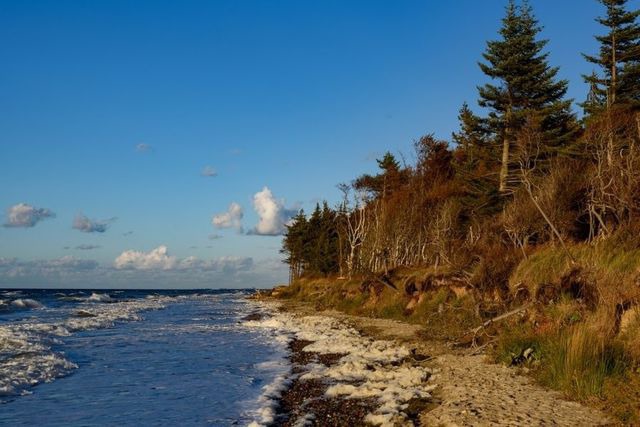 Ferienwohnung in Graal-M&uuml;ritz - Weinrose - Bild 18