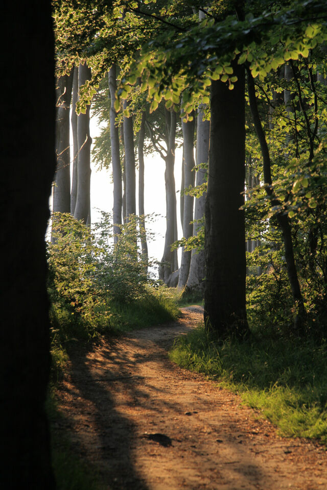Ferienwohnung in Carinerland - Bauwagen am Rande der Welt - Bild 17