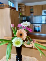 Ferienwohnung in Ostseeheilbad Zingst - Sunshine - Bild 22