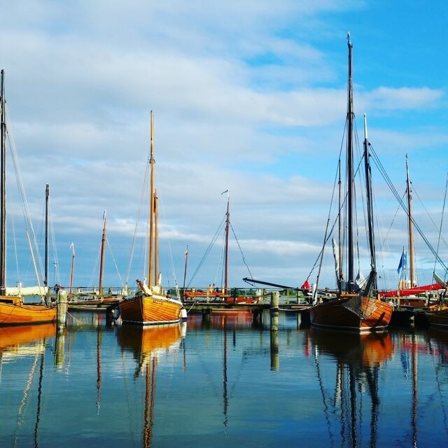 Ferienwohnung in Zingst - M&ouml;we App 510 - Bild 21