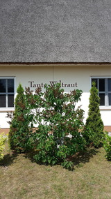 Ferienhaus in Garz (Usedom) - H&auml;uschen "Tante Waltraut" - Bild 5