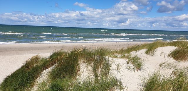 Ferienwohnung in Zingst - Strandm&ouml;we 2 - Bild 12