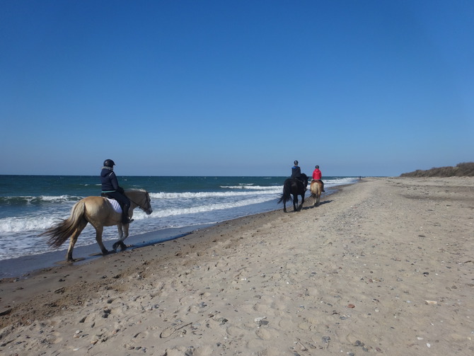 Ferienwohnung in K&auml;gsdorf - Landhaus Ostseeblick - Naturstrand K&auml;gsdorf