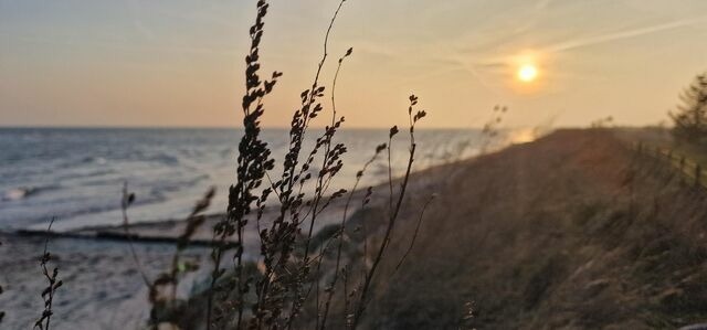 Ferienwohnung in Riepsdorf - Neu! Kreativ-Workshops f&uuml;r unsere G&auml;ste - Bild 23