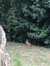 Ferienwohnung in Steinbeck - MP 1 Ankerplatz - Bild 13