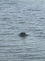 Ferienwohnung in Steinbeck - MP 1 Ankerplatz - Bild 16