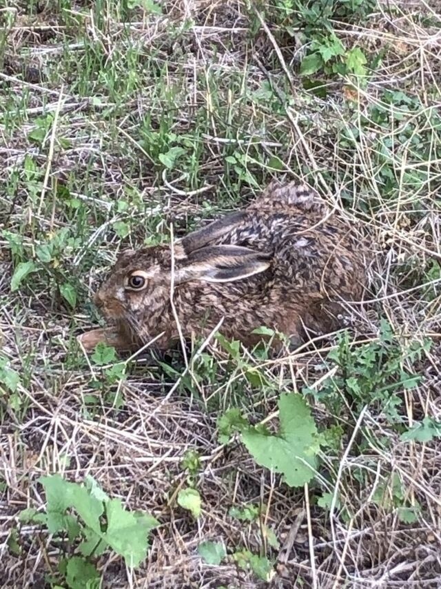 Ferienwohnung in Steinbeck - MP 3 K&uuml;stenkind - Bild 15