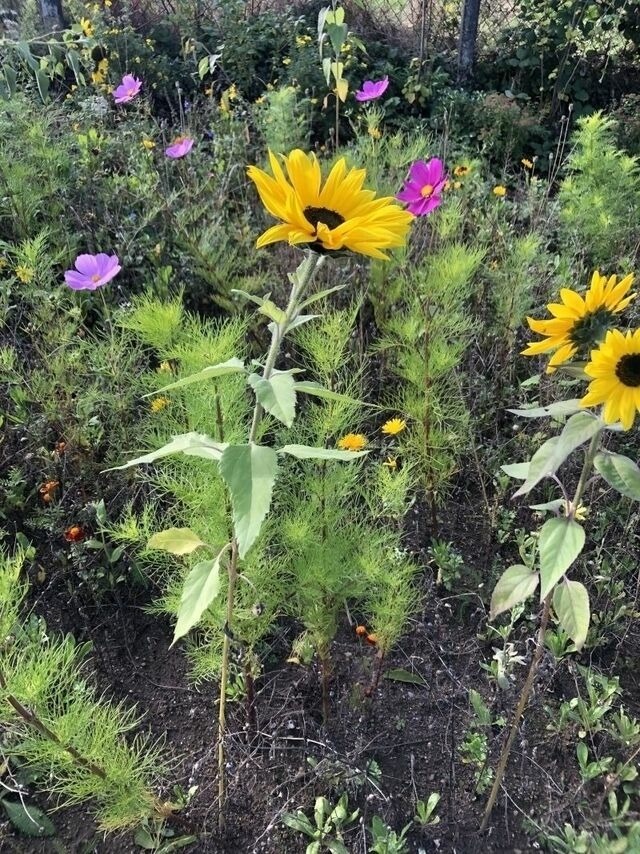 Ferienwohnung in Steinbeck - MP 6 Nordstern - Bild 14