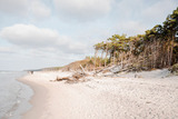Ferienwohnung in Ahrenshoop - Stranddistel 3 - Bild 8