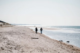 Ferienwohnung in Ahrenshoop - Strandm&ouml;we - Bild 10