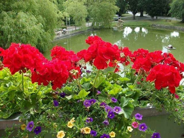 Ferienwohnung in Stakendorf - Ferienwohnung Dorette in Stakendorf - Bild 15