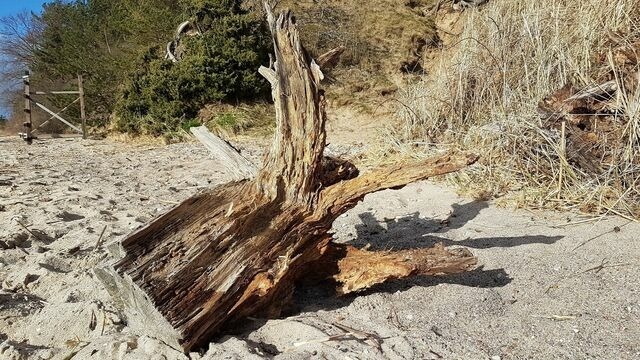 Ferienwohnung in L&uuml;tow - Zeit f&uuml;r Erholung, Ferienhaus A&C Prudlo, Usedom - Bild 18