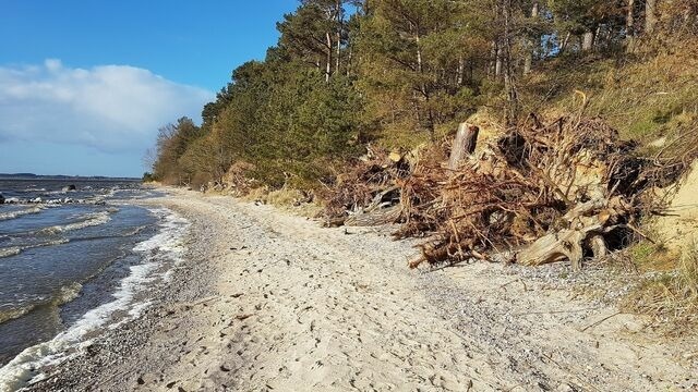 Ferienwohnung in L&uuml;tow - Zeit f&uuml;r Erholung, Ferienhaus A&C Prudlo, Usedom - Bild 19