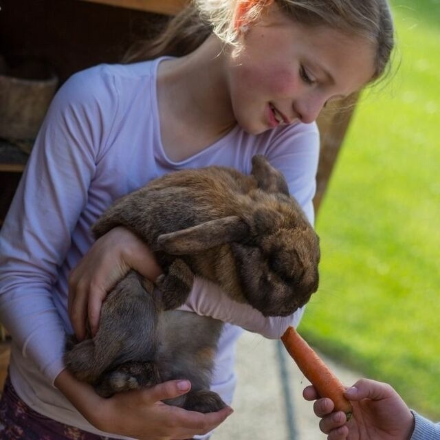 Ferienwohnung in Fehmarn - Ferienhof Marquardt Bungalow 3 - Bild 12
