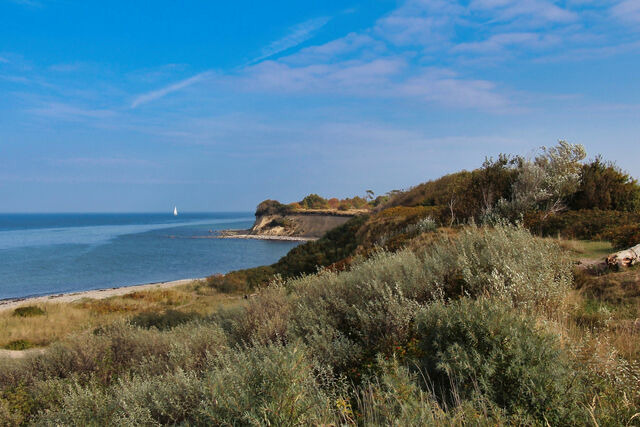 Ferienwohnung in Dranske - Ferienwohnung Schatzk&auml;stchen - Bild 14