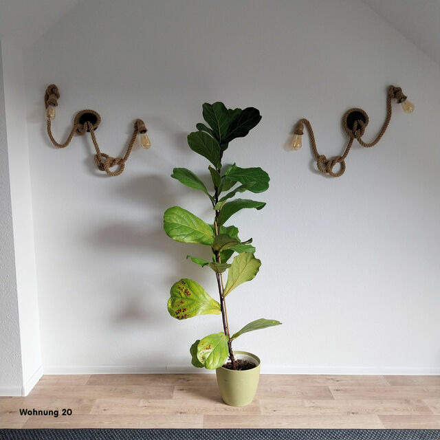 Ferienwohnung in L&uuml;tow - Zeit f&uuml;r Erholung, Ferienhaus A&C Prudlo, Usedom - Bild 14