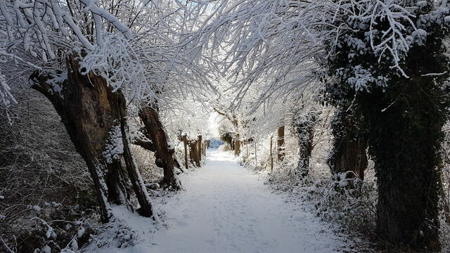 Ferienwohnung in Lauterbach - K&uuml;stenKind - Bild 22
