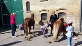 Ferienwohnung in Fehmarn OT Staberdorf - Landhaus 3, inkl. 1 Parkplatz - Bild 12