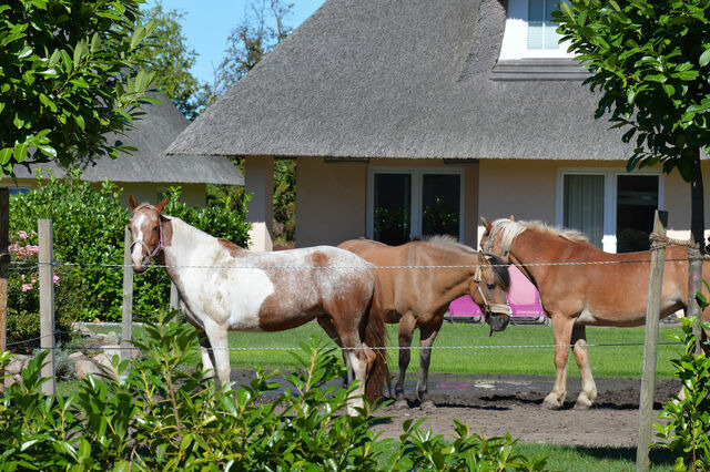 Ferienwohnung in Fehmarn OT Staberdorf - Landhaus 3, inkl. 1 Parkplatz - Bild 17