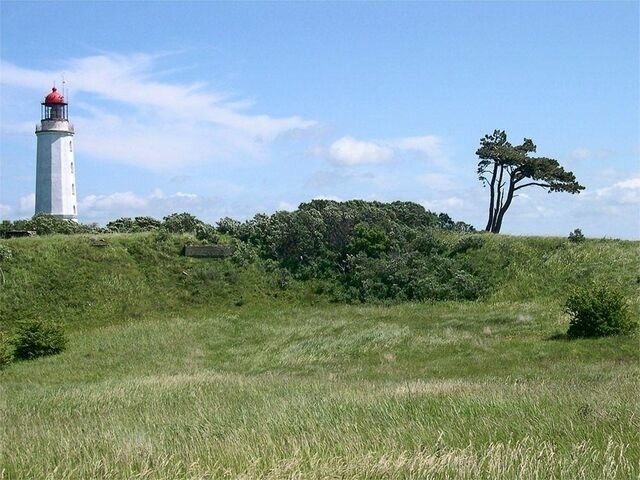 Ferienwohnung in Schaprode -  Ferienwohnung auf R&uuml;gen f&uuml;r 3 Erwachsene und 1 Kind in Schaprode Zi6 - Bild 12
