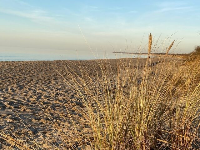 Ferienwohnung in Rostock - D&uuml;nenhopser - Bild 15