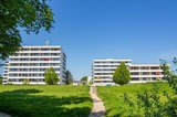 Ferienwohnung in Kellenhusen - FeWo Sonni 3-0-1 - Bild 1