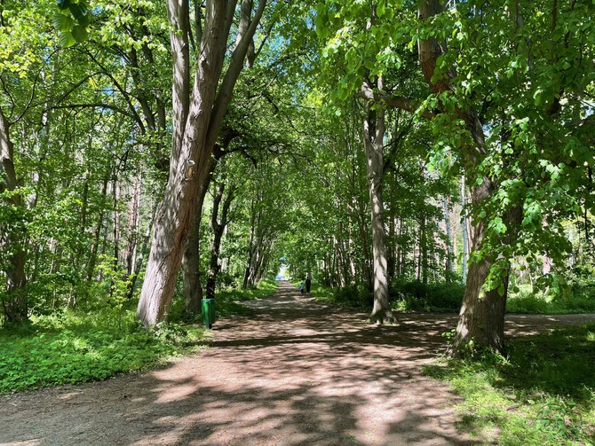 Ferienwohnung in K&uuml;hlungsborn - Ferienwohnung Baltic - Riviera K&uuml;hlungsborn - Bild 14