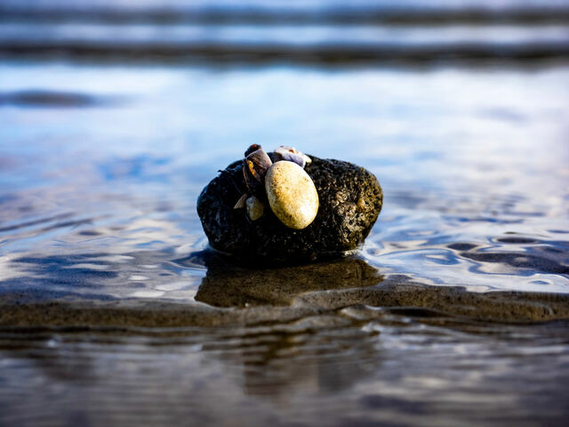 Ferienhaus in Gl&uuml;cksburg - Ferienhaus Au&szlig;enf&ouml;rde - Bild 20