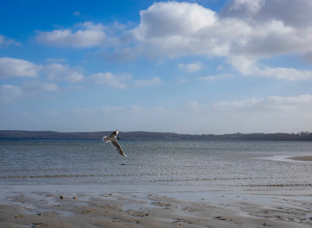 Ferienhaus in Gl&uuml;cksburg - Ferienhaus "Villa Meerblick" - Bild 25