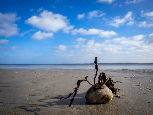 Ferienwohnung in Gl&uuml;cksburg - Ferienwohnung Nolte - Bild 13