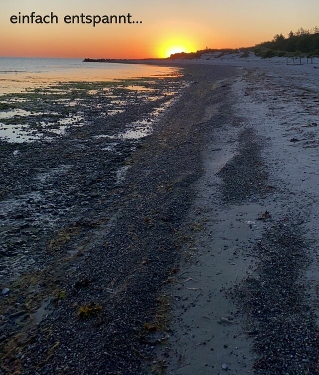 Ferienwohnung in Wendtorf - Strandl&auml;ufer - Bild 19