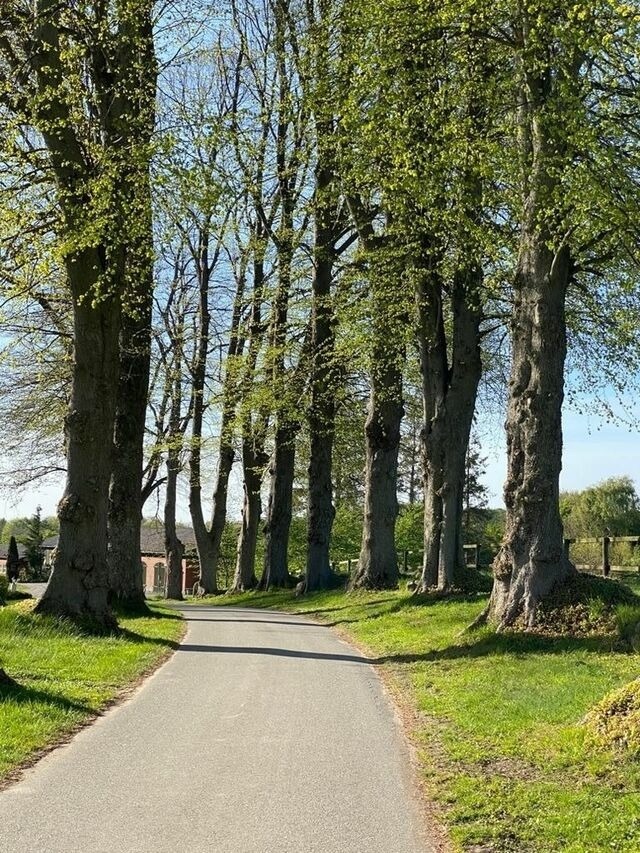 Ferienwohnung in Rieseby - Gut B&uuml;chenau - Ferienwohnung Romantika - Bild 15
