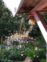 Ferienwohnung in Holzdorf - Ferienwohnung im Skulpturengarten Gr&uuml;nlund - Bild 19