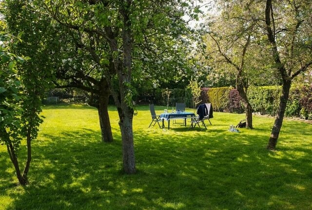 Ferienhaus in Damp - 4-Raum-Ferienhaus "Seeschwalbe" f&uuml;r 6 Personen - Bild 21