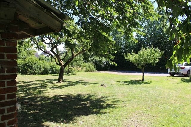 Ferienwohnung in Hasselberg - BARFUSSpark - Ferienwohnung Seepferdchenh&ouml;hle - Bild 9
