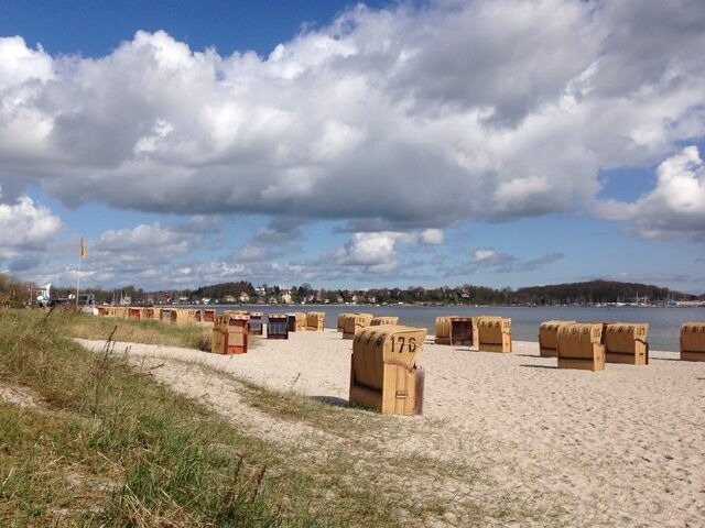 Ferienwohnung in Gro&szlig; Wittensee - Seepanorama - Bild 16