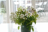 Ferienwohnung in Gelting - Janbecks FAIRhaus - Ferienwohnung Wolken - Bild 10