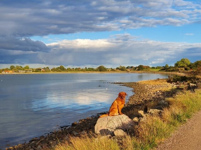 Ferienwohnung in Gelting-Niesgrau - Ferienwohnung Bambuswald Ferienhof Geltinger Bucht - Bild 11