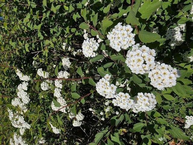 Ferienwohnung in Scharbeutz - Frei f&uuml;r Zwei - Bild 20
