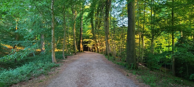 Ferienwohnung in Flensburg - Strandhygge - Weg zum Strand