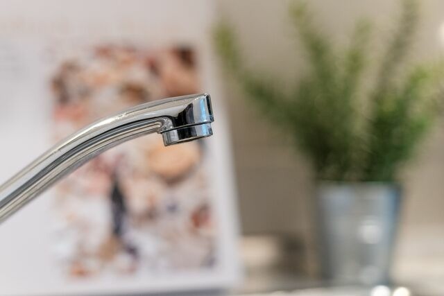 Ferienwohnung in Gr&ouml;mitz - Haus Gr&ouml;mitz M&ouml;wengl&uuml;ck - Bild 15