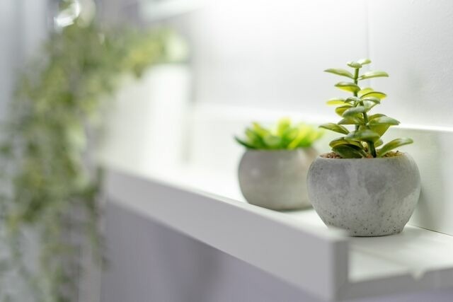 Ferienwohnung in Gr&ouml;mitz - Haus Gr&ouml;mitz M&ouml;wengl&uuml;ck - Bild 25